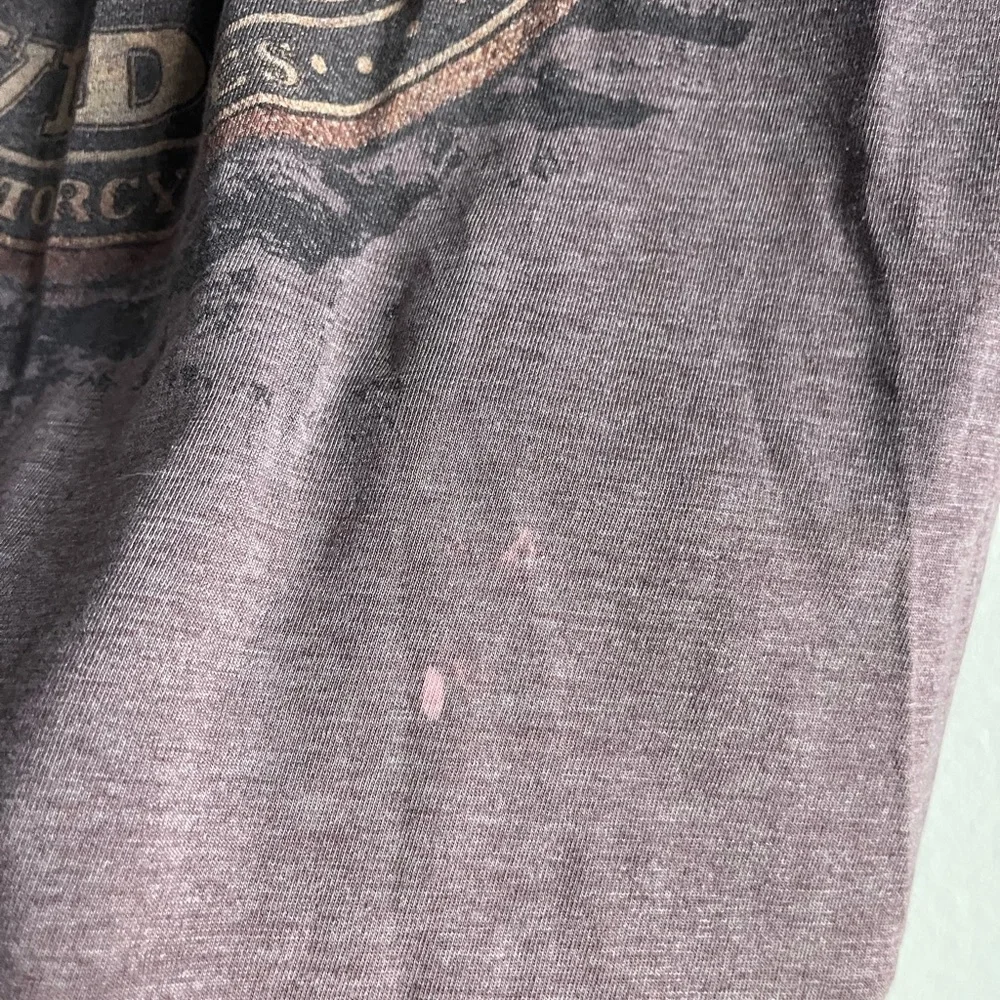 Harley-Davidson Men's dark maroon T-Shirt - Picture 5 of 10